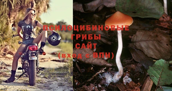 герыч Алзамай