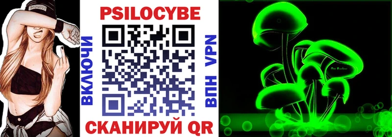 Псилоцибиновые грибы Psilocybe где купить Евпатория